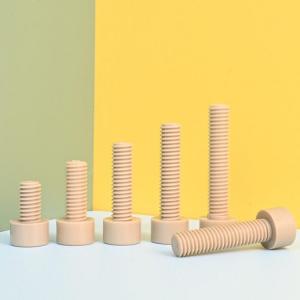 metric PEEK cylindrical head hexagon socket blot 
